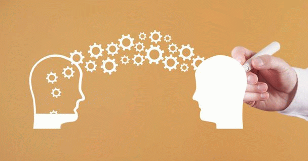 آموزش جذب مخاطب هدف: چکیده تجربیات نی‌نی‌سایت در سال 1404