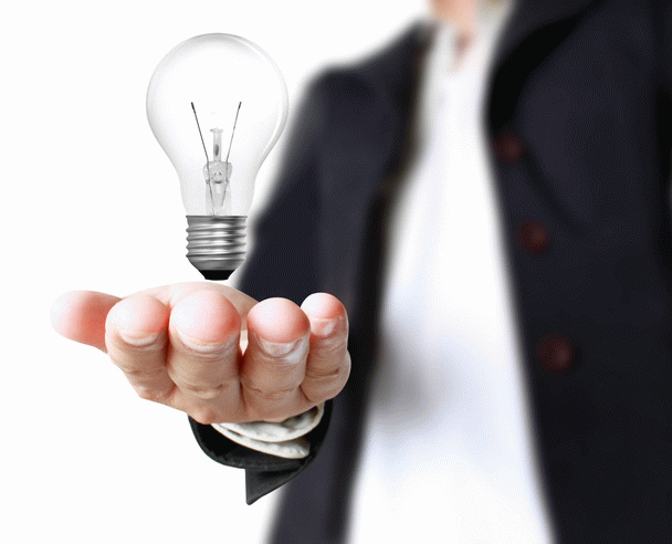 14 نکته برای تغذیه سگ شیتزو تریر