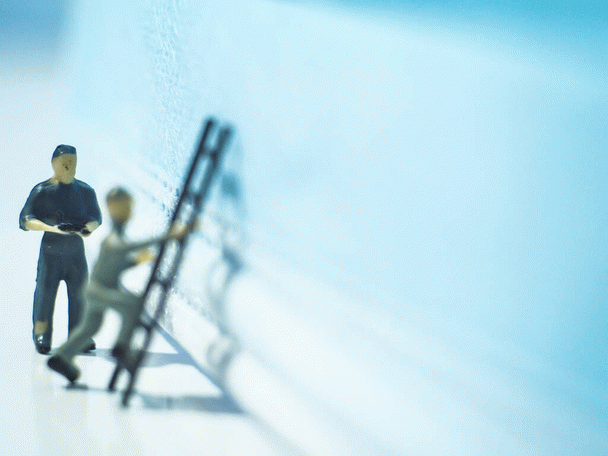 12 نکته اساسی که باید در مورد علائم و درمان مسمومیت گربه ها بدانید