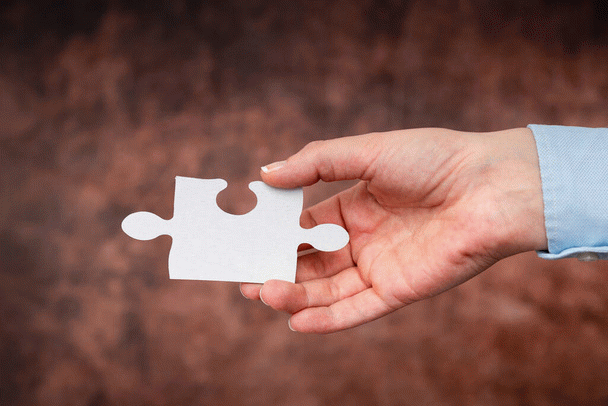 16 نکته کلیدی درباره انواع غذای گربه و هر آنچه باید بدانید