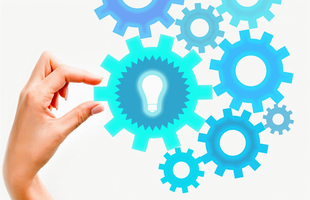 12 نکته کلیدی در مورد غذای گربه رویال کنین: راهنمای جامع انتخاب و خرید